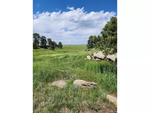 County Road 94, Elbert, CO 80106 photo 9