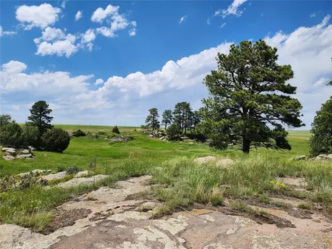 County Road 94, Elbert, CO 80106 photo 10