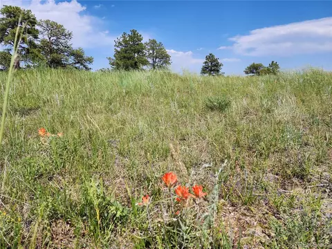 County Road 94, Elbert, CO 80106 photo 15