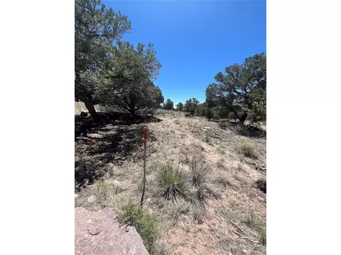 Undisclosed, Crestone, CO 81131 photo 10