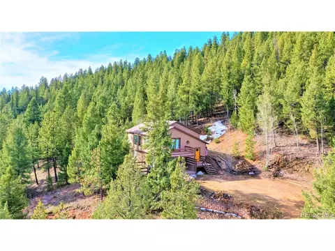 733 Roland Dr, Bailey, CO 80421 photo 3