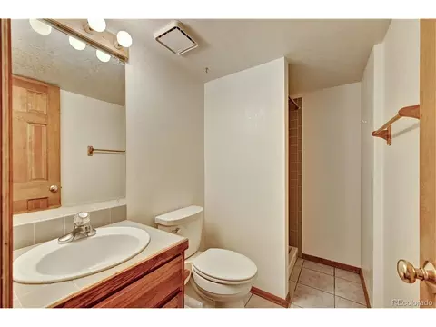 733 Roland Dr, Bailey, CO 80421 photo 17