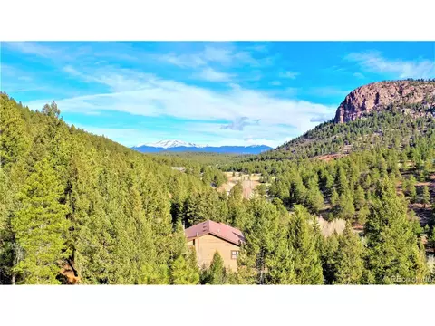 733 Roland Dr, Bailey, CO 80421 photo 1