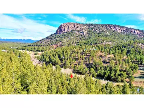 733 Roland Dr, Bailey, CO 80421 photo 23