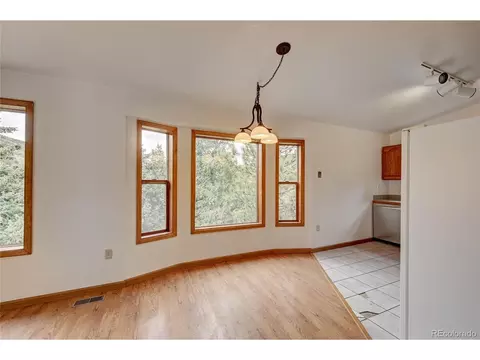 733 Roland Dr, Bailey, CO 80421 photo 10