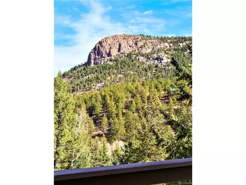 733 Roland Dr, Bailey, CO 80421 photo 20