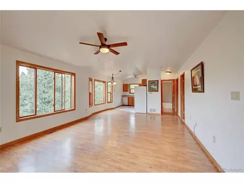733 Roland Dr, Bailey, CO 80421 photo 11