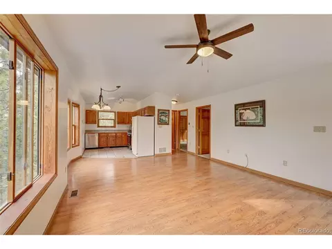 733 Roland Dr, Bailey, CO 80421 photo 8