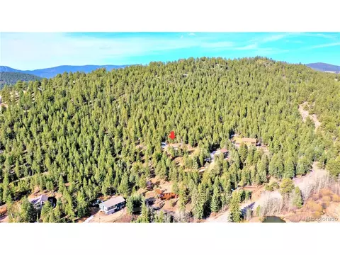 733 Roland Dr, Bailey, CO 80421 photo 31