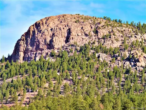 733 Roland Dr, Bailey, CO 80421 photo 25