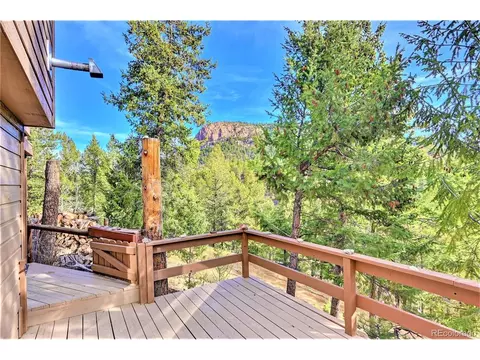 733 Roland Dr, Bailey, CO 80421 photo 19