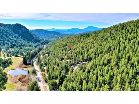 733 Roland Dr, Bailey, CO 80421 photo 30