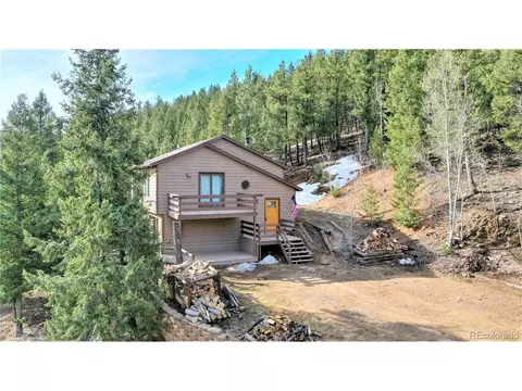 733 Roland Dr, Bailey, CO 80421 photo 29