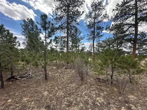 Chicha Rd, Hartsel, CO 80449 photo 9