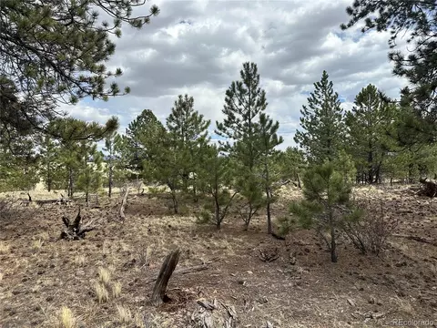 Chicha Rd, Hartsel, CO 80449 photo 22