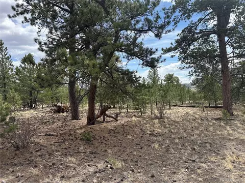 Chicha Rd, Hartsel, CO 80449 photo 3