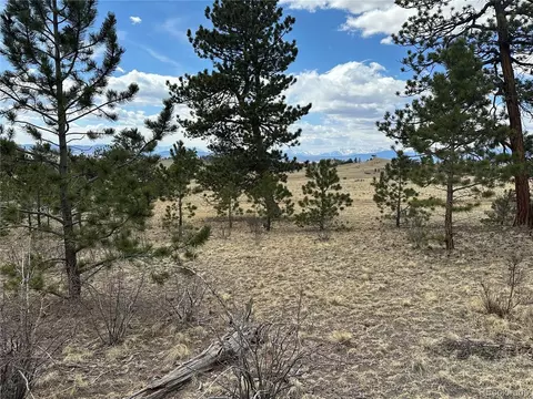 Chicha Rd, Hartsel, CO 80449 photo 10