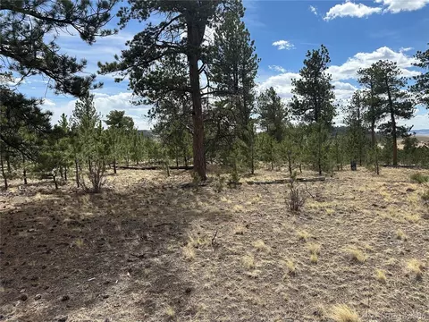 Chicha Rd, Hartsel, CO 80449 photo 7