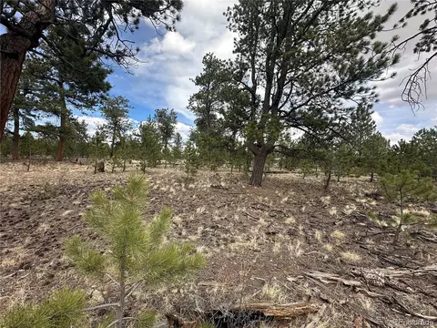 Chicha Rd, Hartsel, CO 80449 photo 21