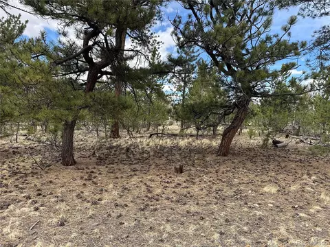 Chicha Rd, Hartsel, CO 80449 photo 13