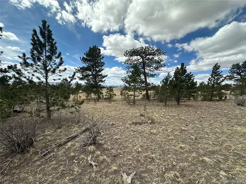 Chicha Rd, Hartsel, CO 80449 photo 11