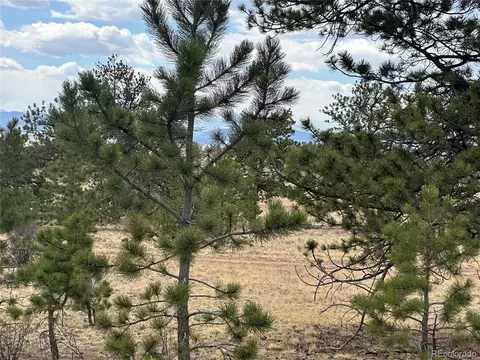 Chicha Rd, Hartsel, CO 80449 photo 2