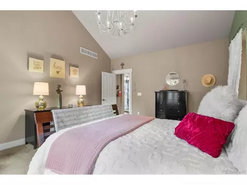 8741 E 29th Ave, Denver, CO 80238 photo 24