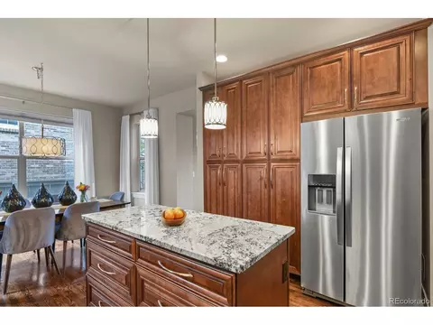 8741 E 29th Ave, Denver, CO 80238 photo 12