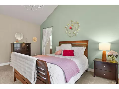 8741 E 29th Ave, Denver, CO 80238 photo 25