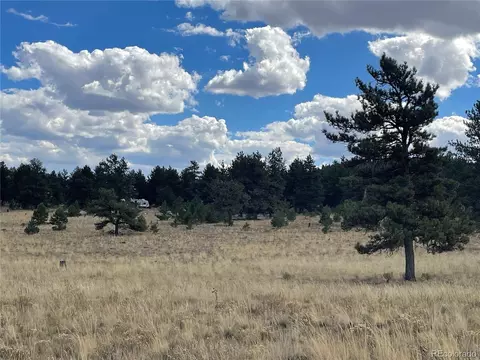 1035 Guipago Trl, Hartsel, CO 80449