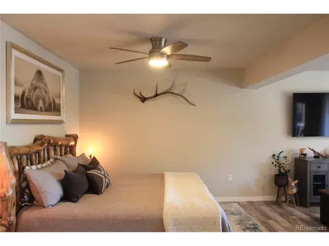 815 N Pine Dr, Bailey, CO 80421 photo 26