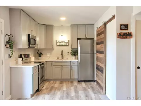 815 N Pine Dr, Bailey, CO 80421 photo 24