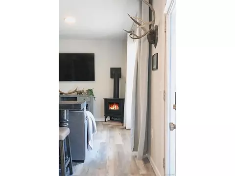 815 N Pine Dr, Bailey, CO 80421 photo 22