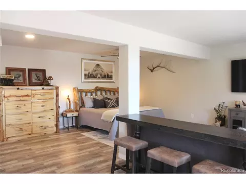 815 N Pine Dr, Bailey, CO 80421 photo 21