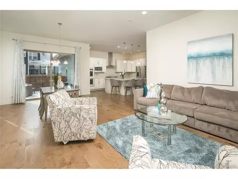 9780 E 59th Dr, Denver, CO 80238 photo 8