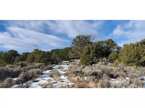 7265 Tiernan Rd, Fort Garland, CO 81133