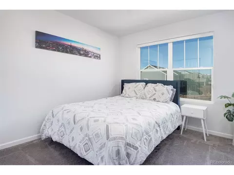 16722 Chilton Dr, Mead, CO 80542 photo 24