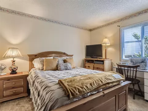 18942 E 46th Ave, Denver, CO 80249 photo 13
