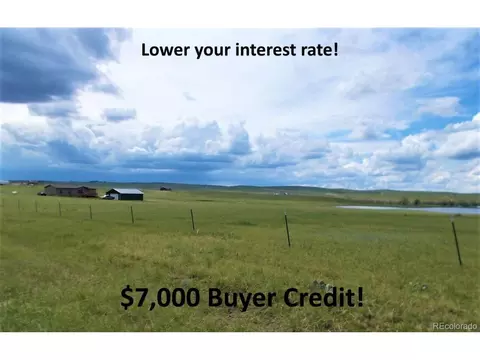 27925 Bambi Ave, Simla, CO 80835