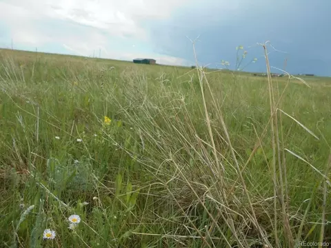 Other - 27925 Bambi Ave, Simla, CO 80835 photo 15 of 18