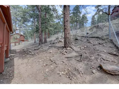 345 Deer Trail Dr, Bailey, CO 80421 photo 30