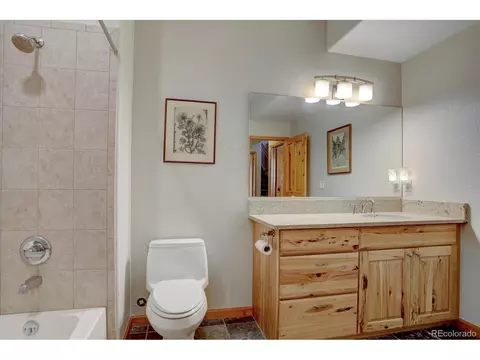345 Deer Trail Dr, Bailey, CO 80421 photo 25
