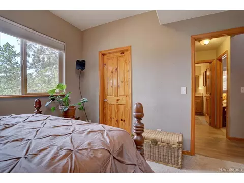 345 Deer Trail Dr, Bailey, CO 80421 photo 24
