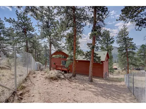 345 Deer Trail Dr, Bailey, CO 80421 photo 29
