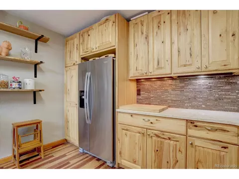 345 Deer Trail Dr, Bailey, CO 80421 photo 13