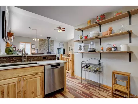 345 Deer Trail Dr, Bailey, CO 80421 photo 12