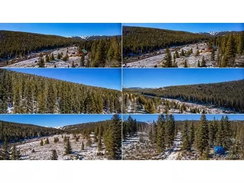 1180 Zebulon St, Alma, CO 80420