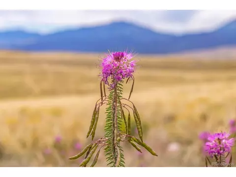 2015 Kit Carson Rd, Westcliffe, CO 81252 photo 15