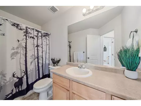 791 Valleybrook Dr, Windsor, CO 80550 photo 25