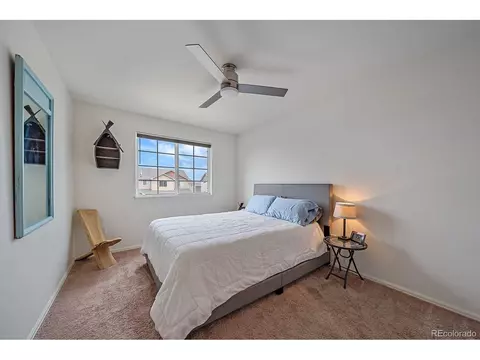 791 Valleybrook Dr, Windsor, CO 80550 photo 24